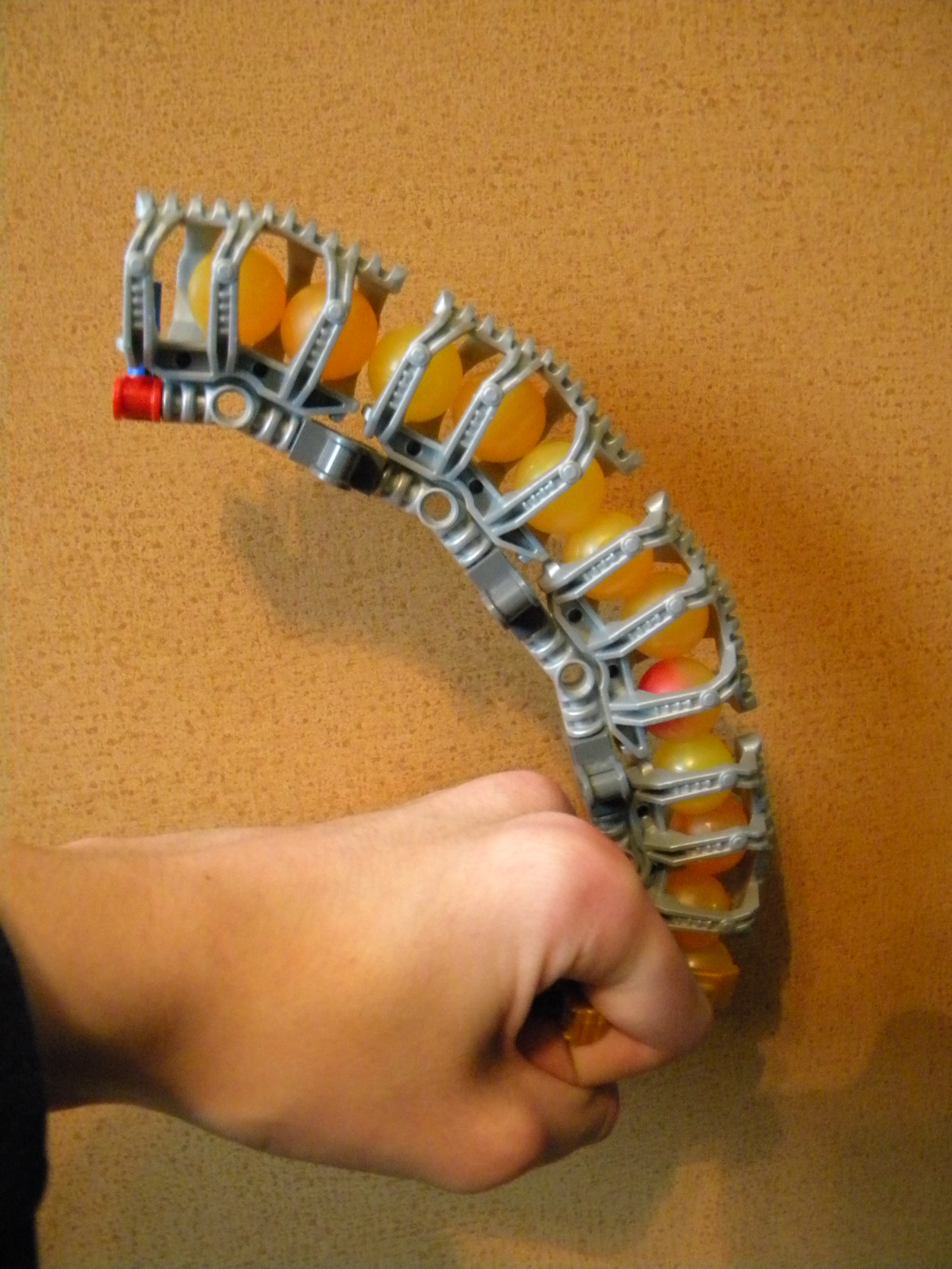 dscn6595.jpg