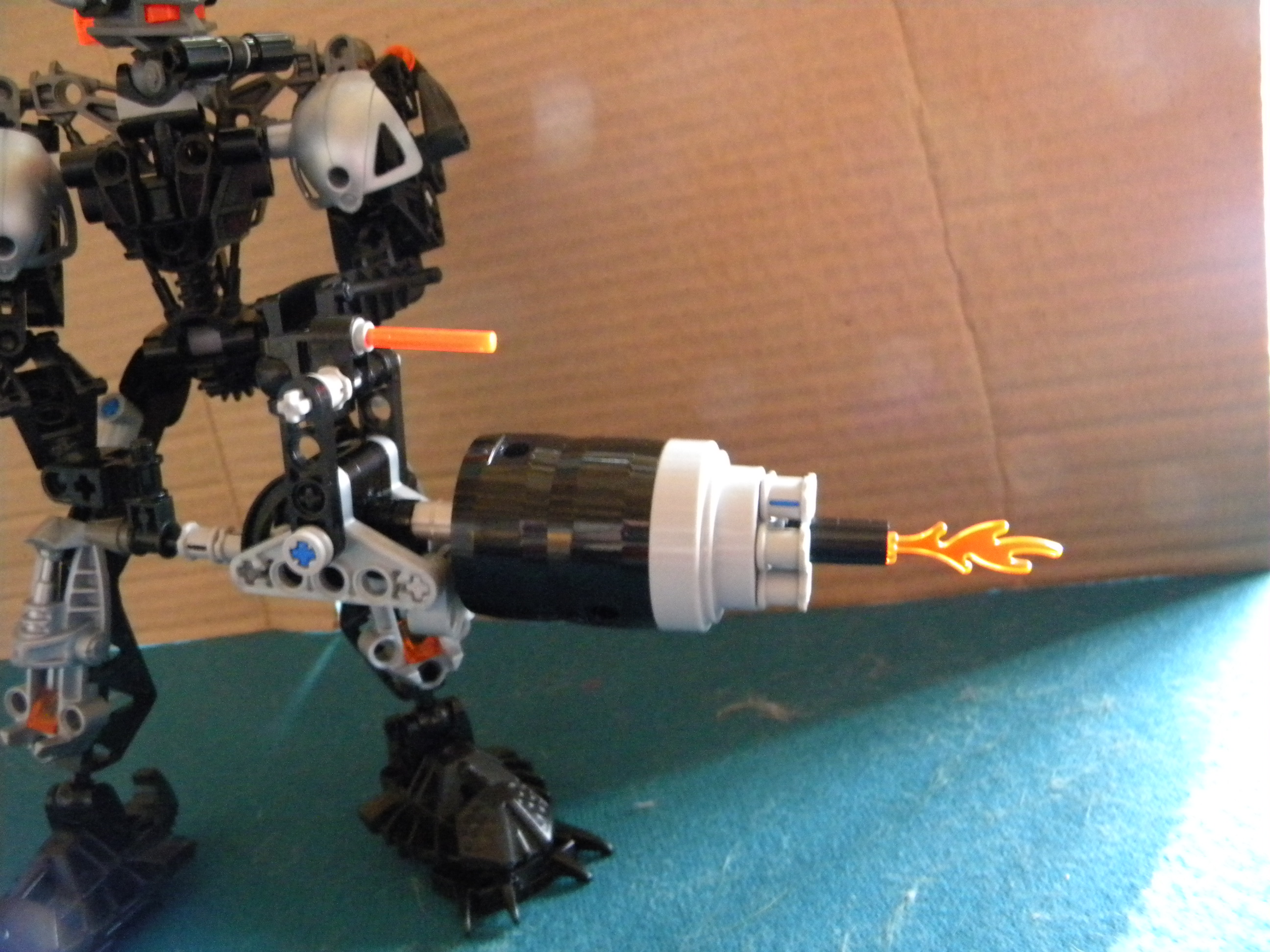 dscn6534.jpg