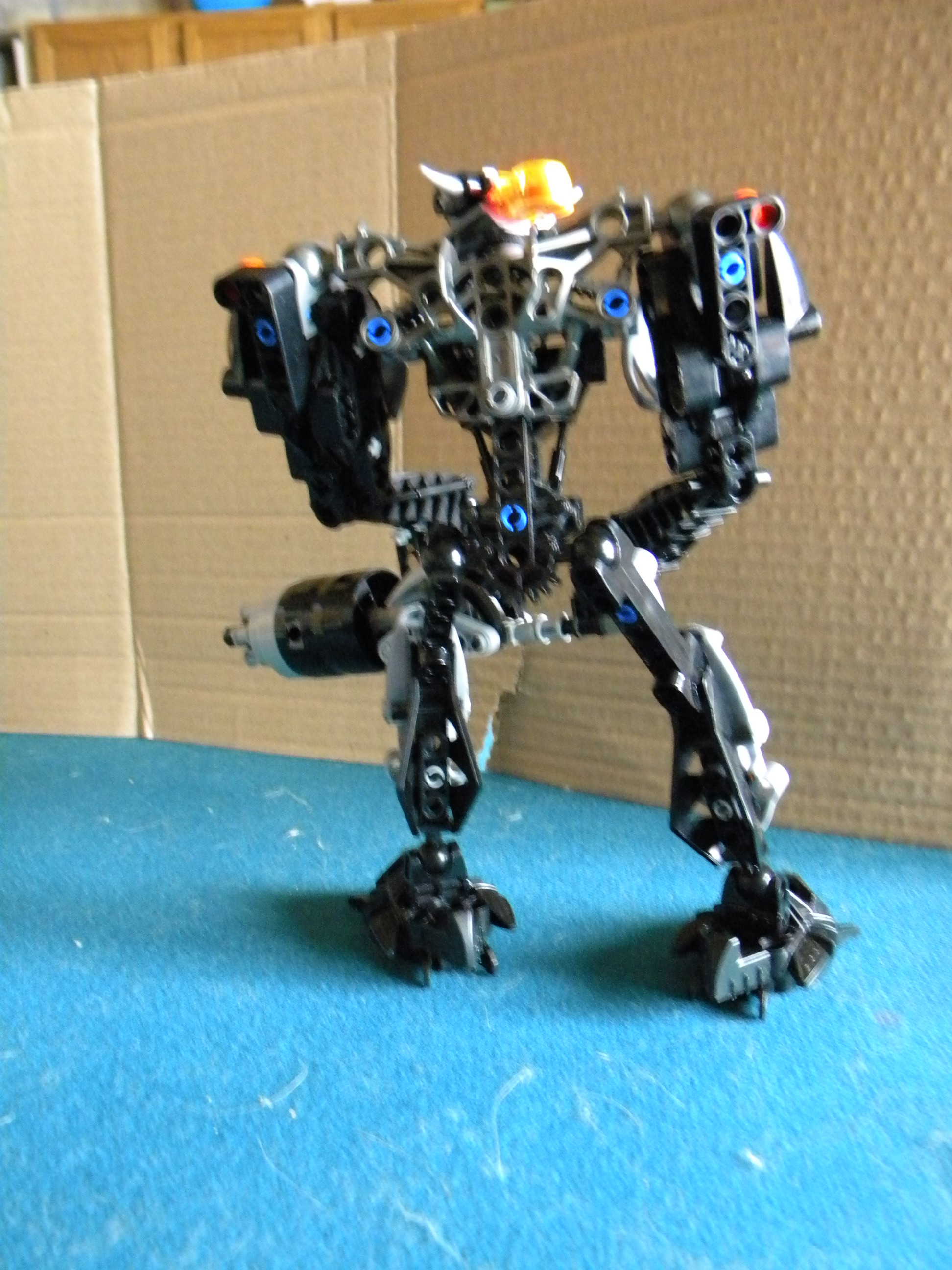 dscn6538.jpg