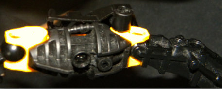 leg_closeup_resized.jpg