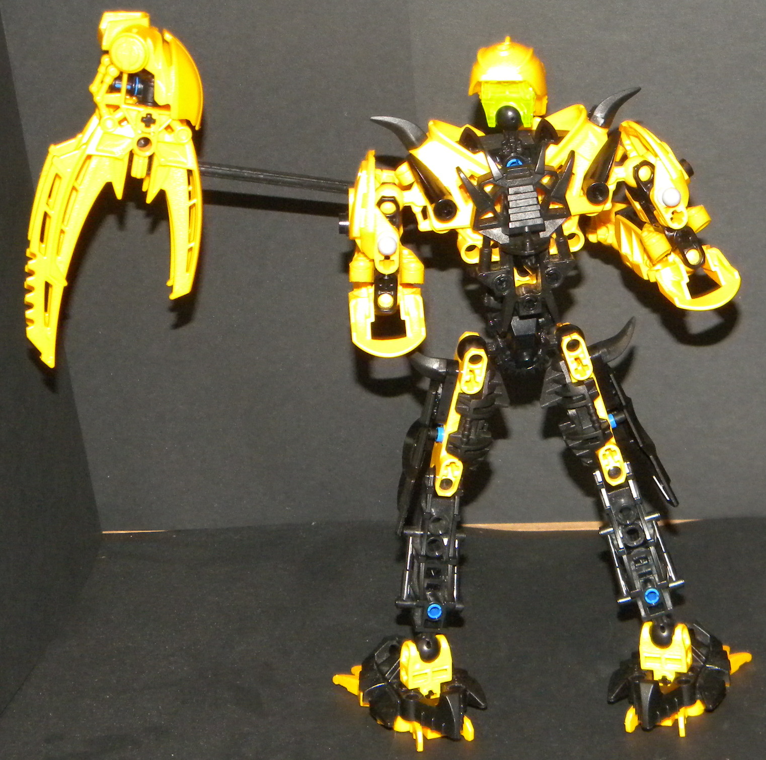 shardak_final_back.jpg