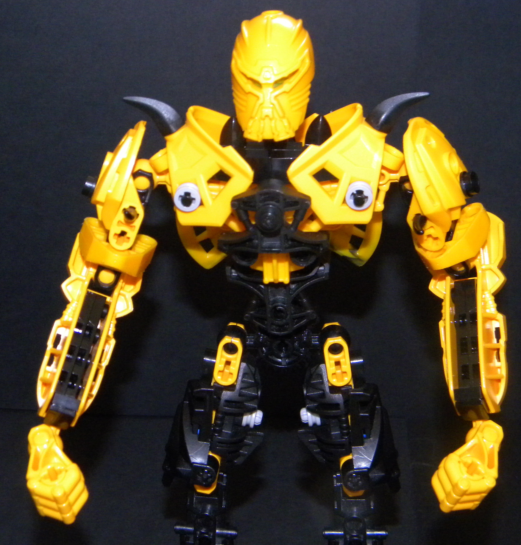 shardak_front_close_up.jpg