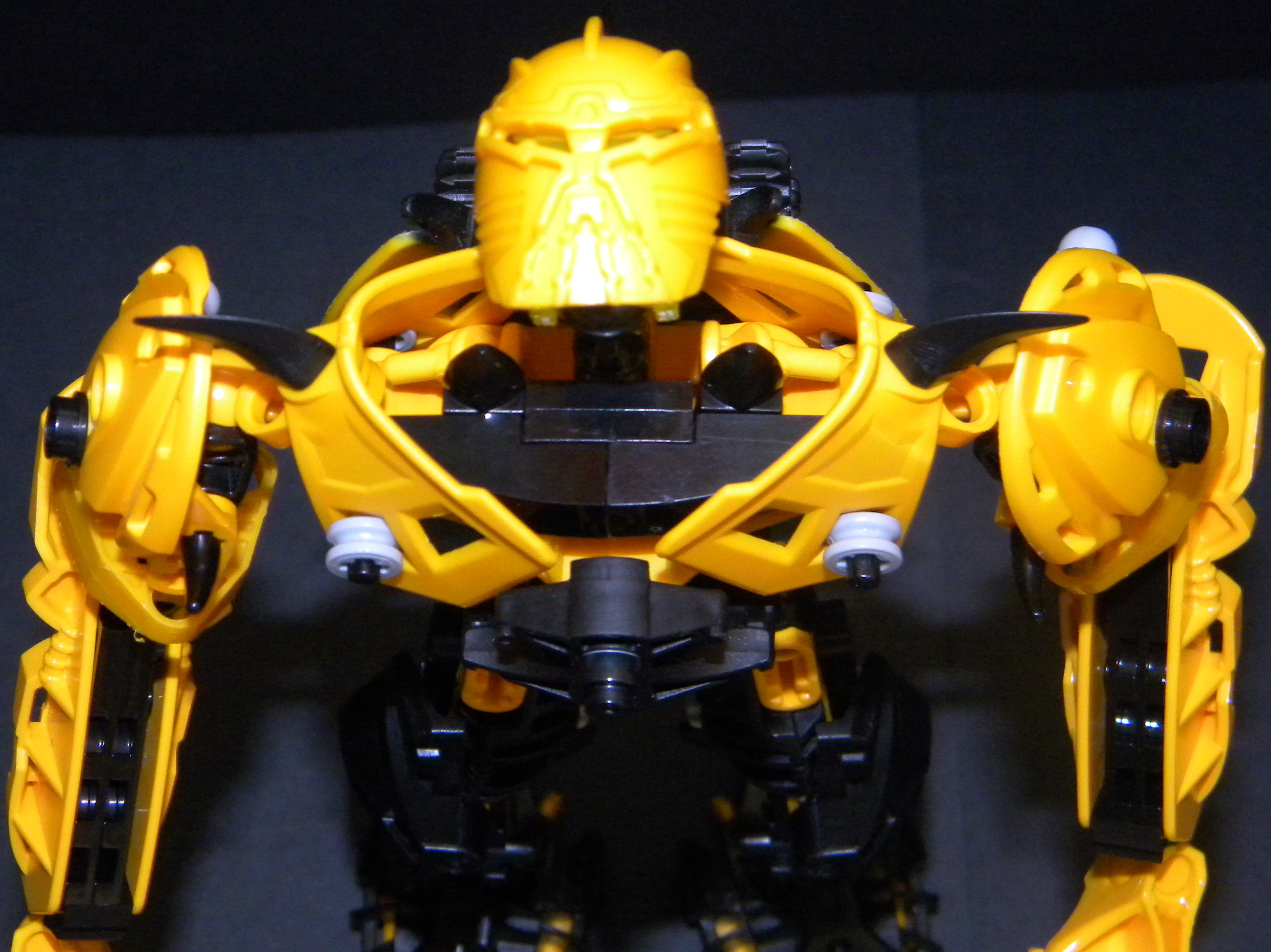 shardak_neck_close_up.jpg