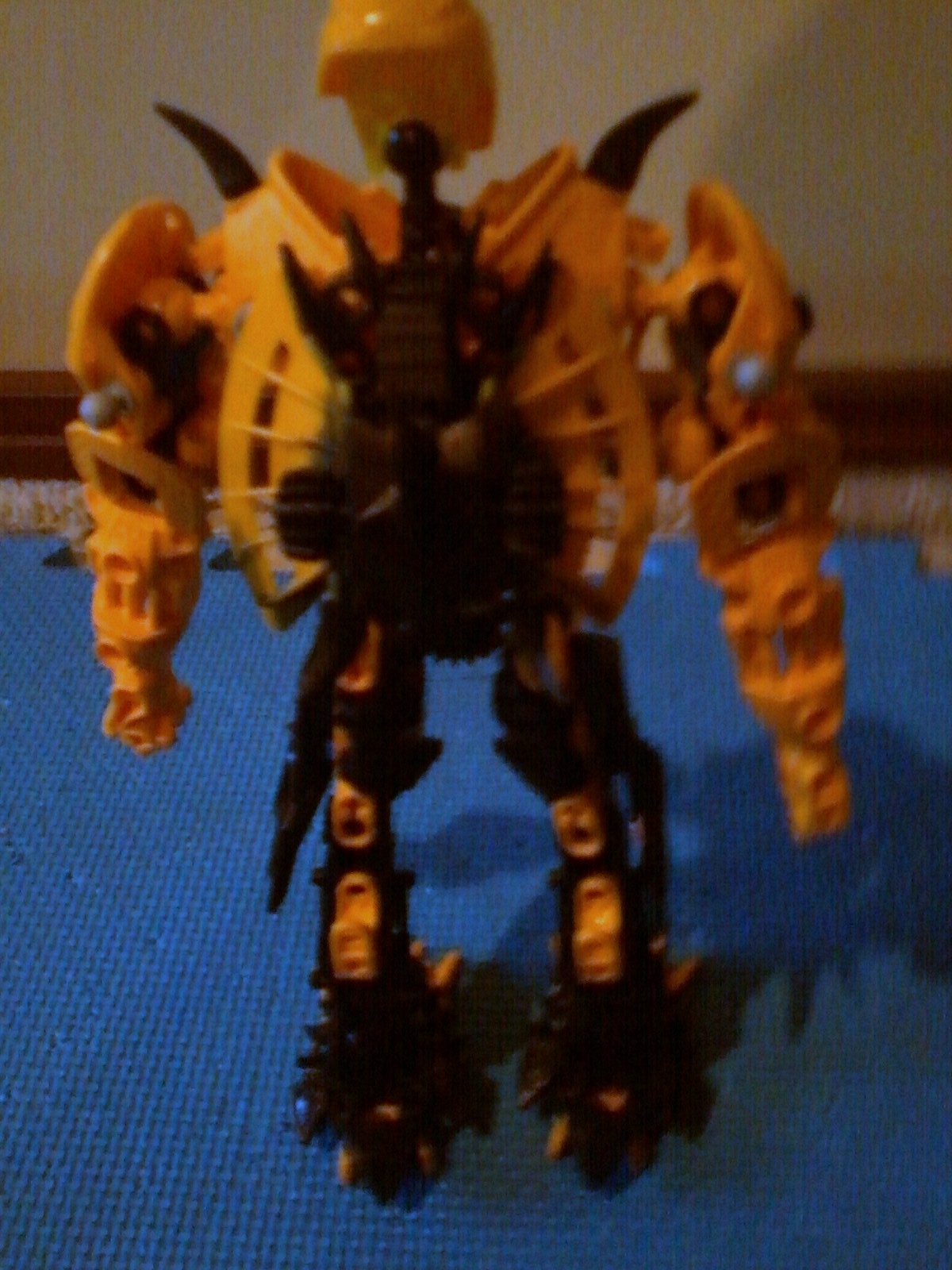 shardak_back.jpg