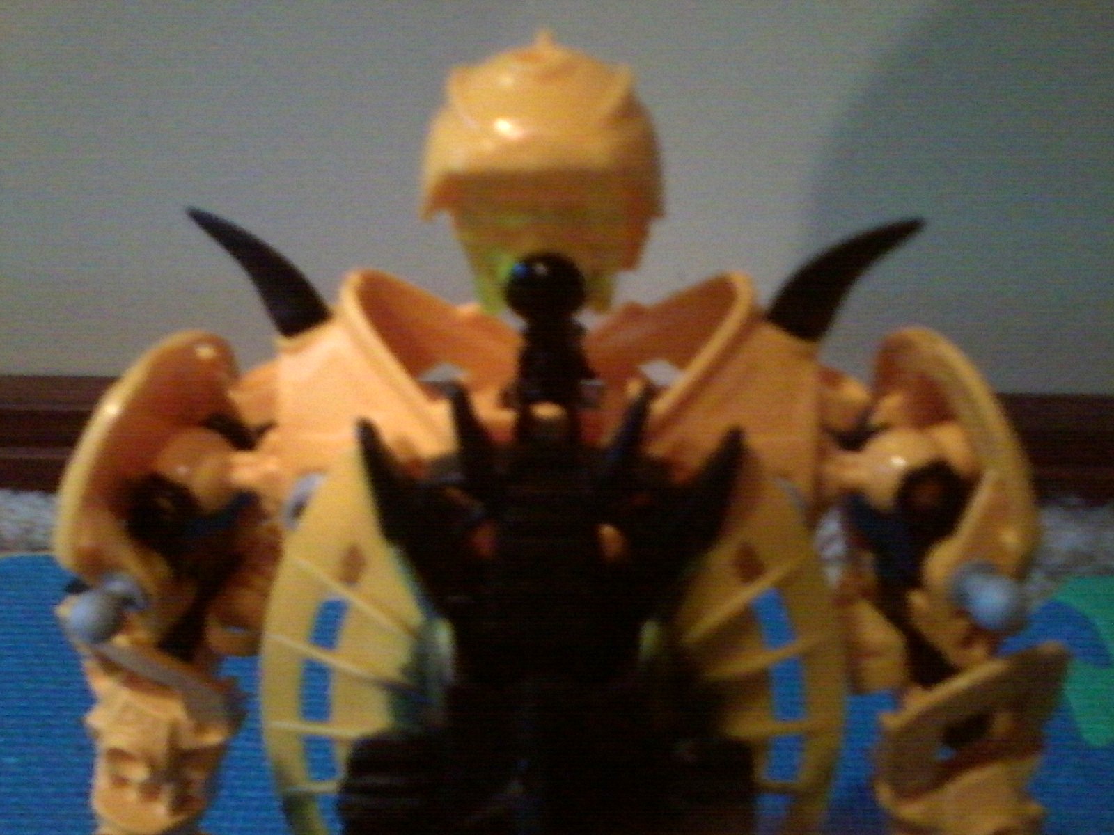 shardak_back_close_up.jpg