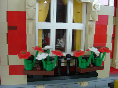 mrwhiskers_window.jpg