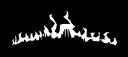 white_symbol.png