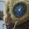 mothra_1.jpg