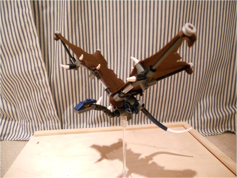 picture03.jpg
