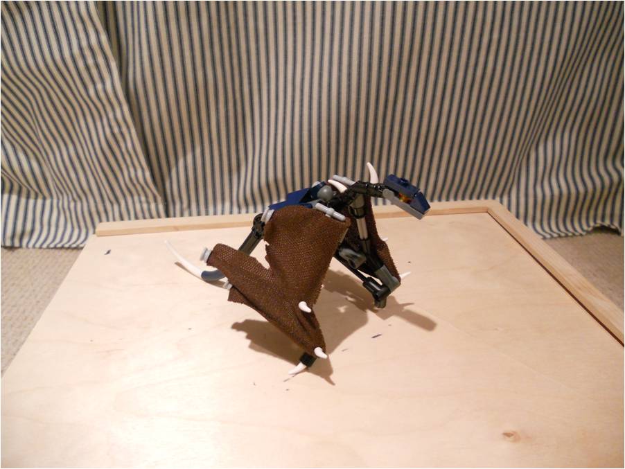 picture04.jpg