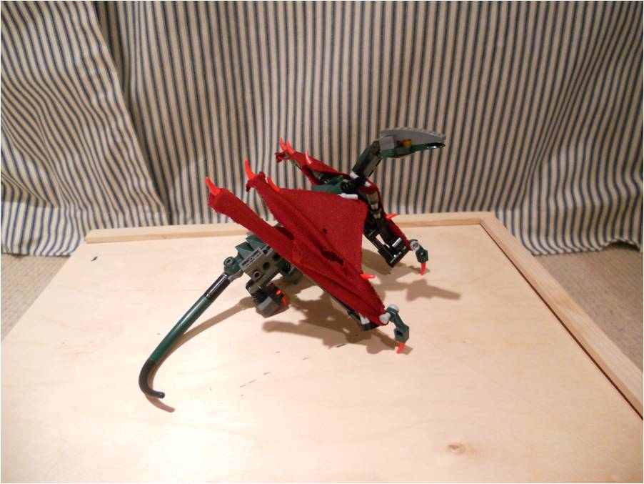 picture07.jpg