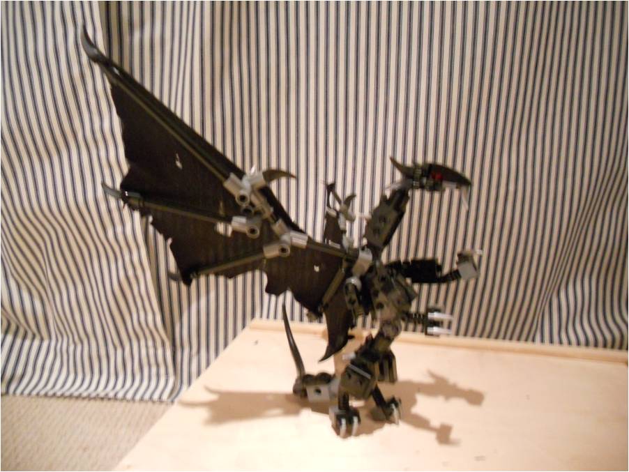 picture14.jpg