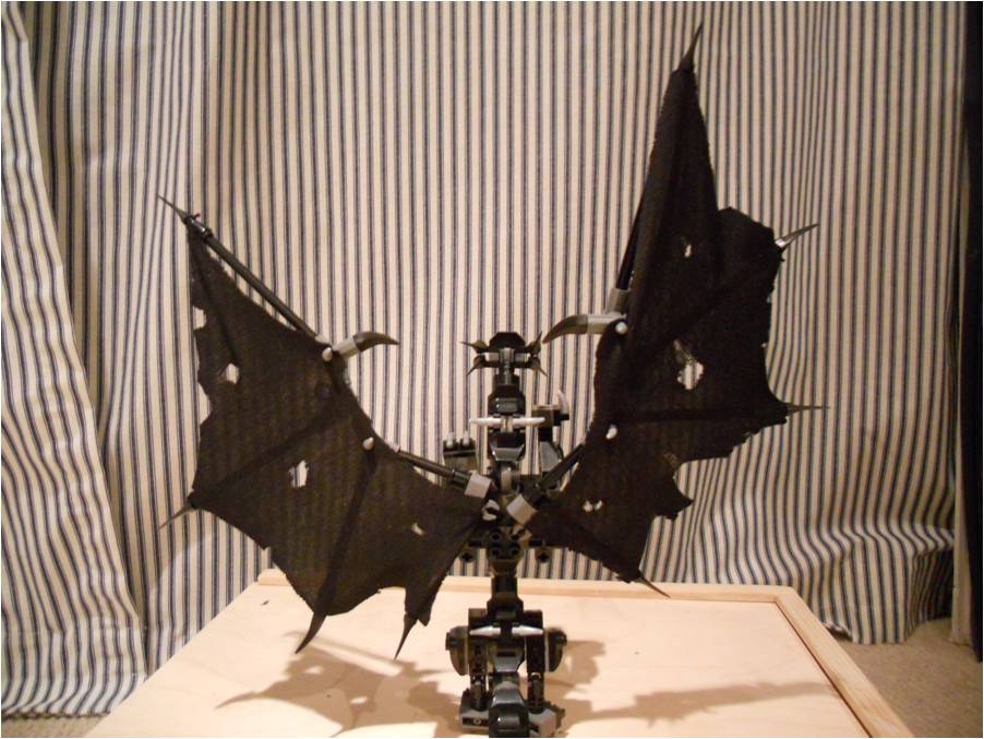 picture15.jpg