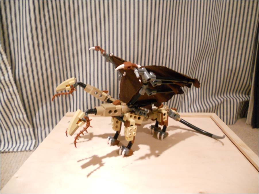 picture16.jpg