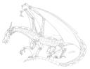 dragon.jpg