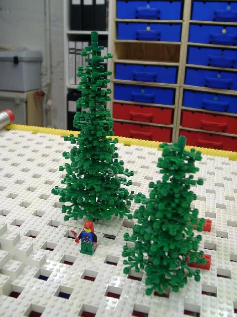 trees.jpg