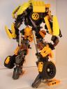 bumblebee_01.jpg