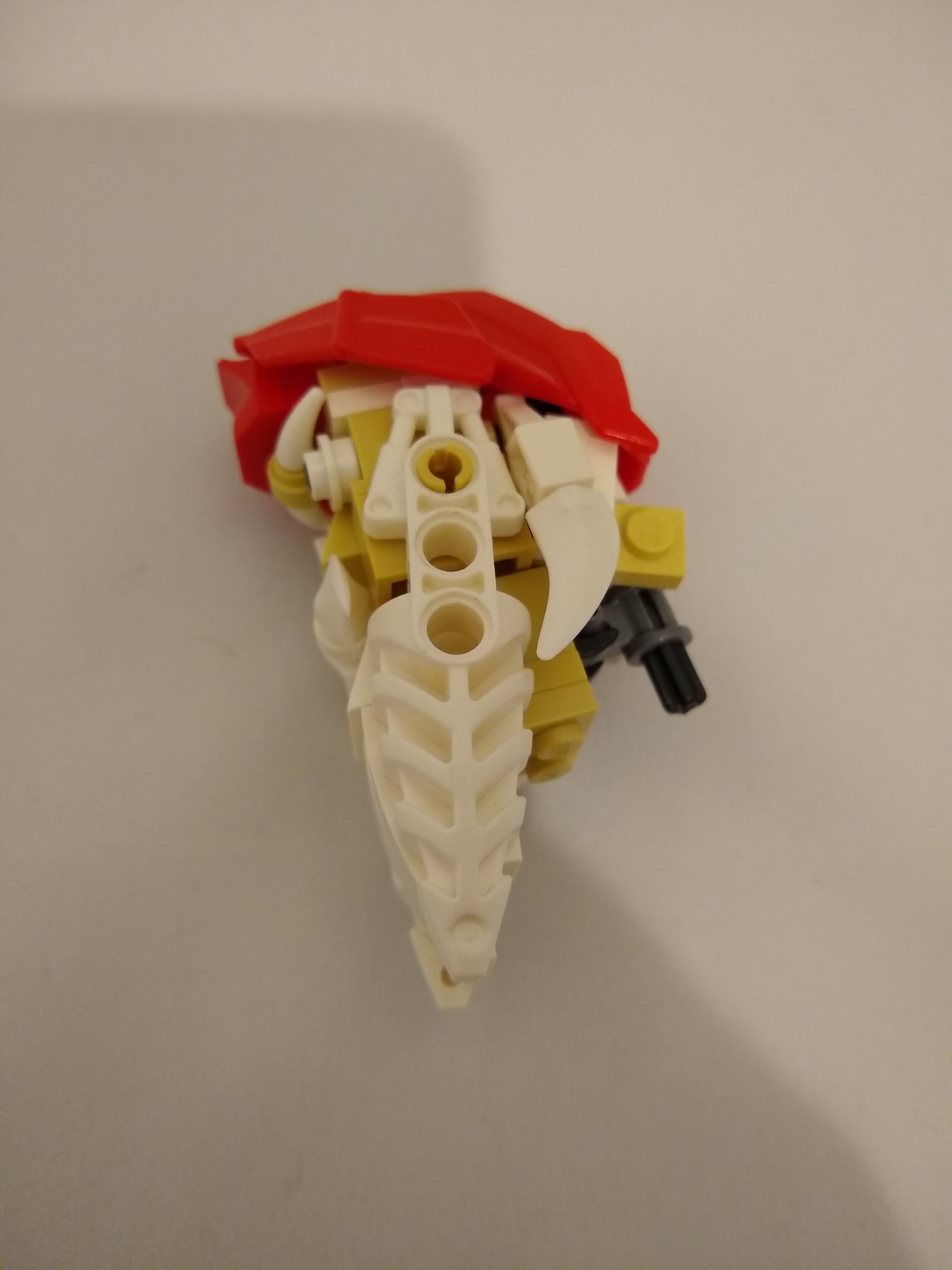 head_01.jpg