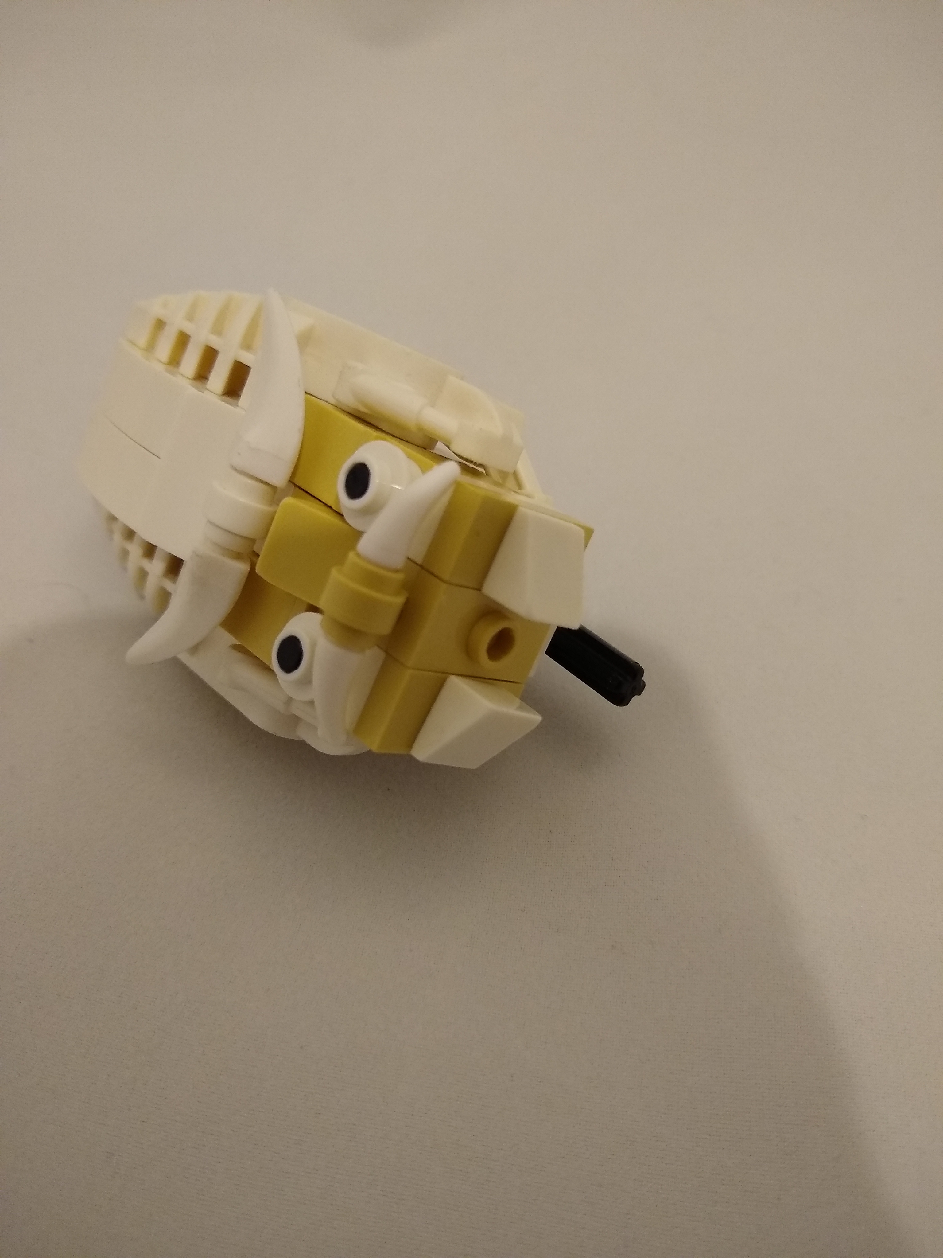 head_04.jpg