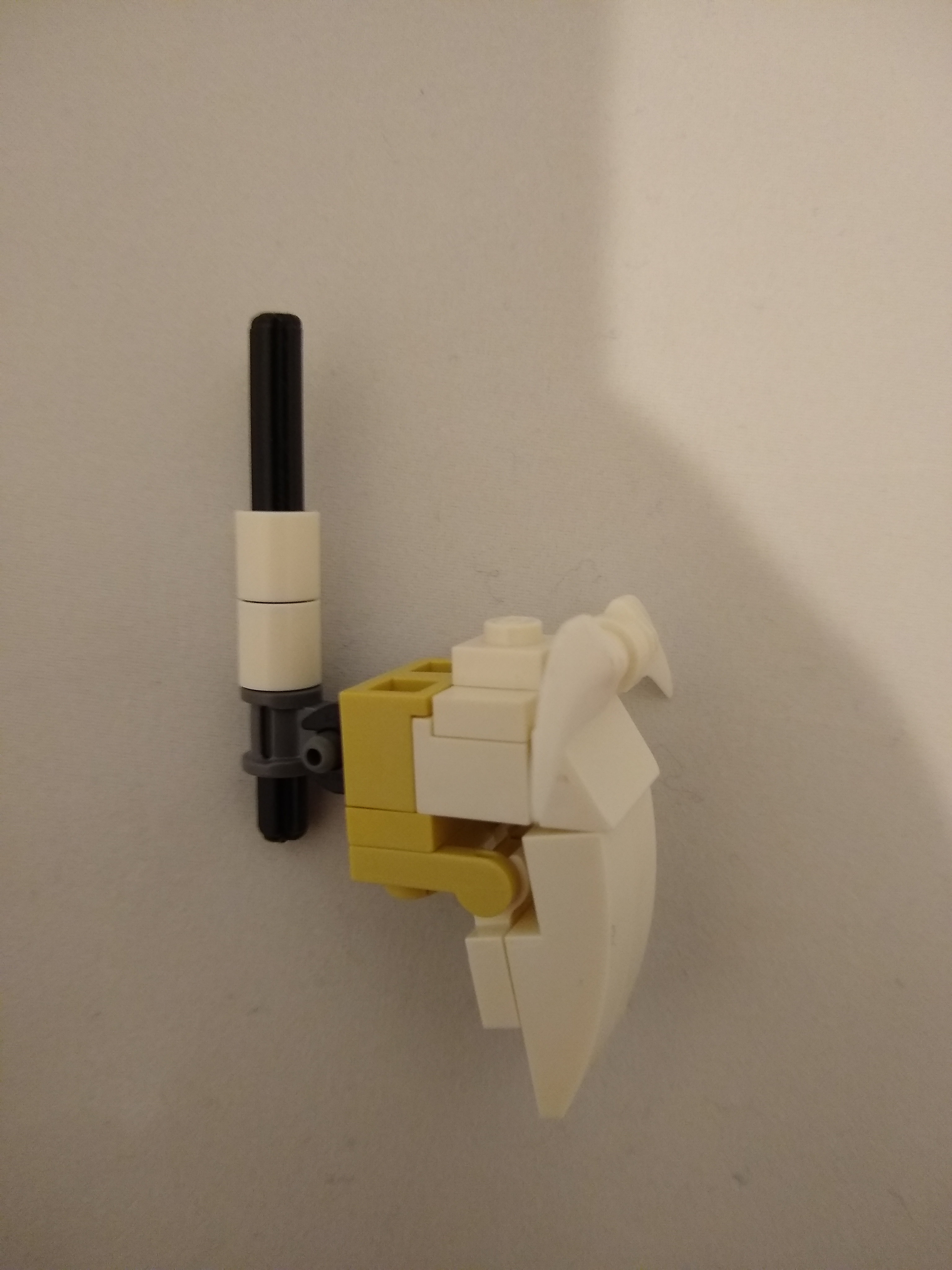 head_06.jpg