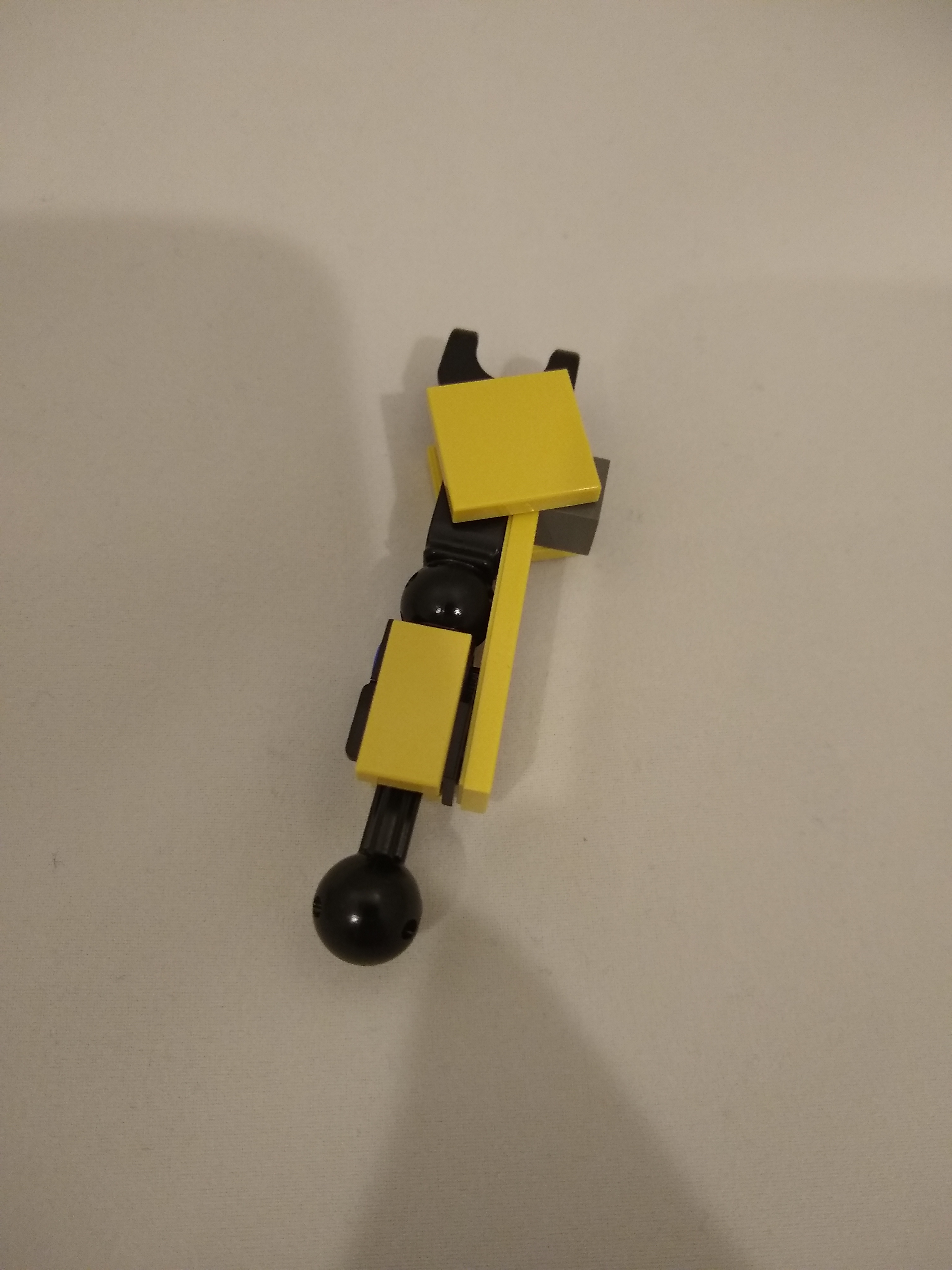 leg_13.jpg