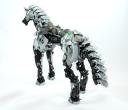 04_horse_back.jpg