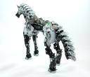 04_horse_back.jpg