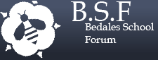 bsf_logo.png