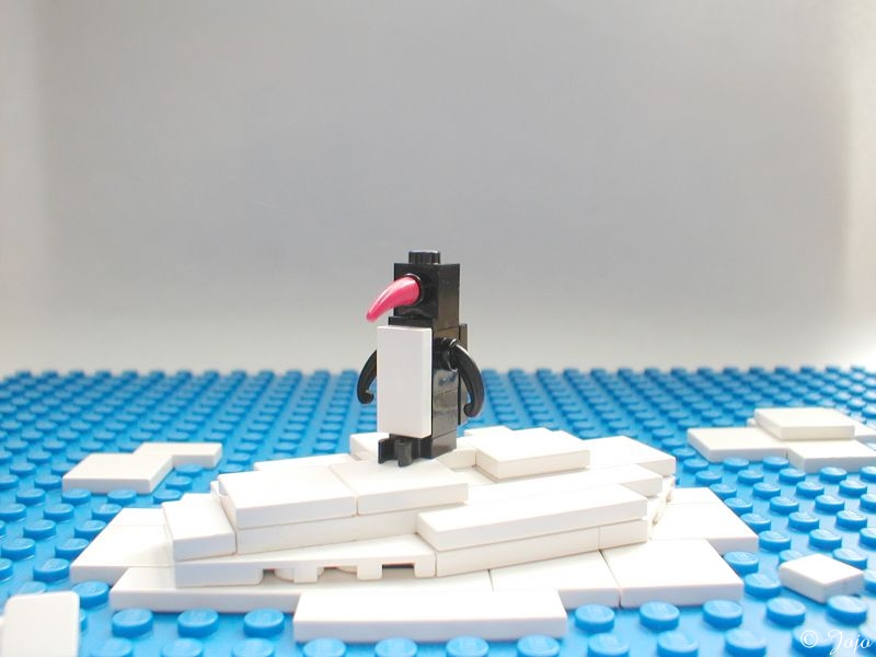 pingu.jpg