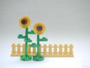 sonnenblumen.jpg