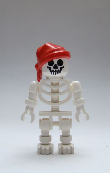 skelett05.jpg