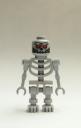 roboskelett.jpg
