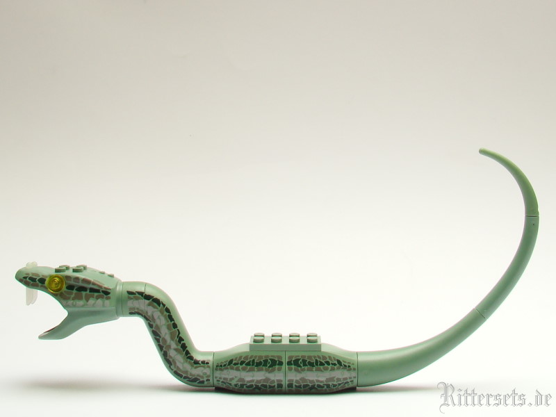 drache4730.jpg