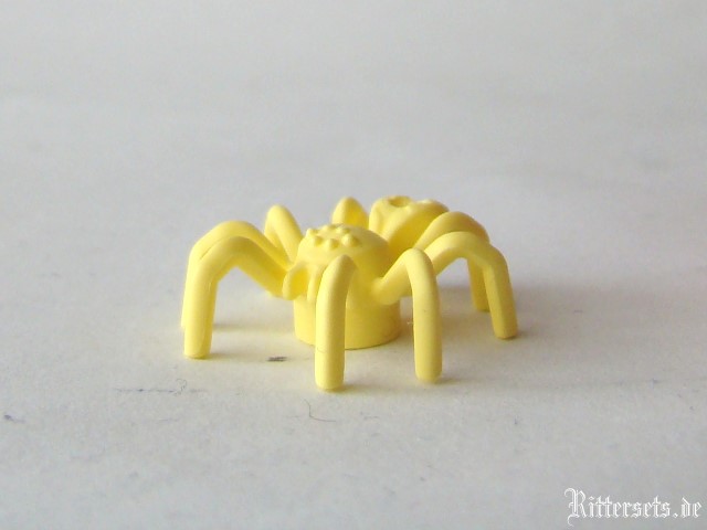 spider.jpg
