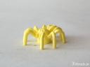 spider.jpg