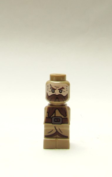 micro-dwalin.jpg