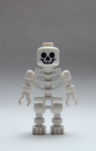 skelett.jpg