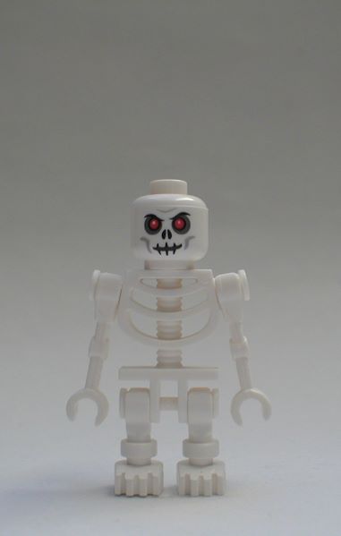 skelett01.jpg