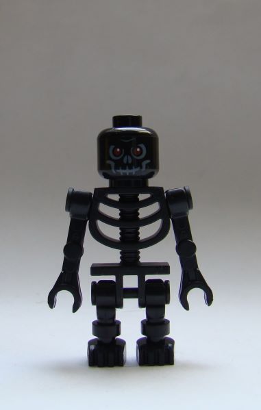 skelett02.jpg