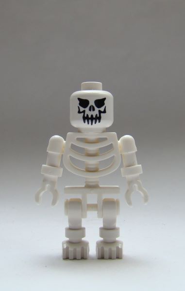 skelett04.jpg