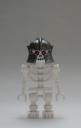 skelett01a.jpg