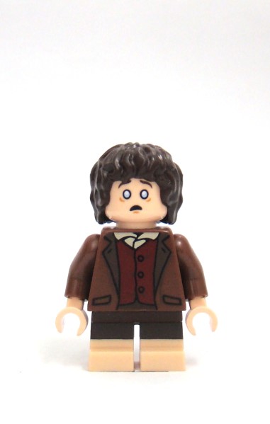 frodo-bd2.jpg