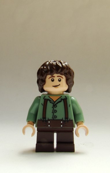 frodo1.jpg