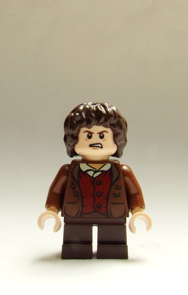 frodo2-2.jpg