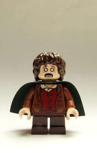 frodo2b-2.jpg