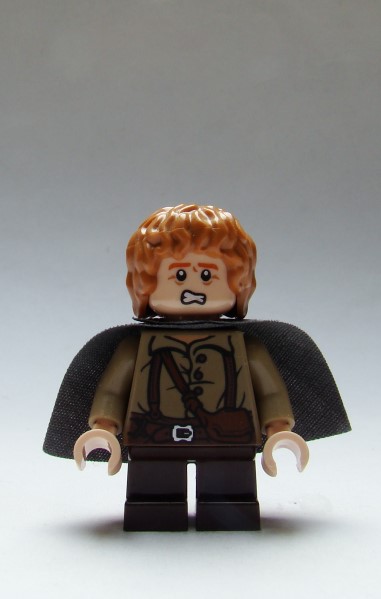 samwise-2.jpg