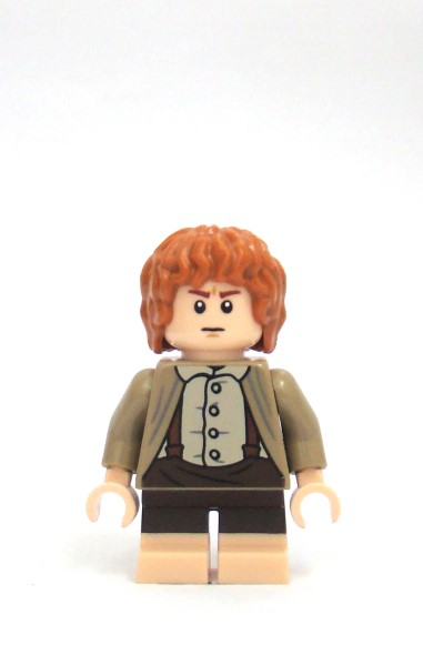 samwise-bd2.jpg