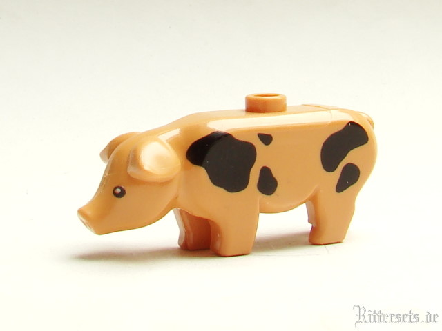 schwein7189.jpg