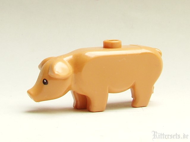 schwein7952.jpg