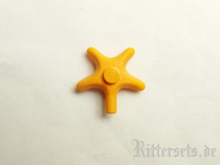 seesternmittelorange.jpg